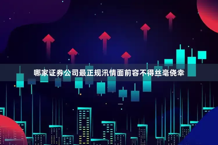 哪家证券公司最正规汛情面前容不得丝毫侥幸