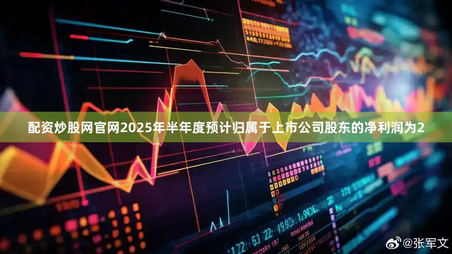 配资炒股网官网2025年半年度预计归属于上市公司股东的净利润为2