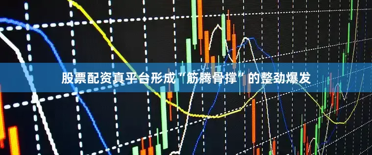 股票配资真平台形成“筋腾骨撑”的整劲爆发