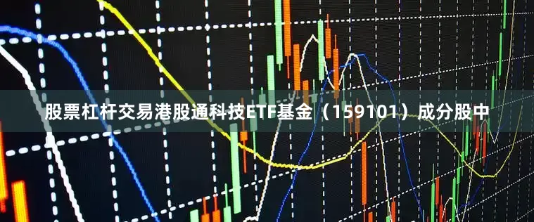股票杠杆交易港股通科技ETF基金（159101）成分股中