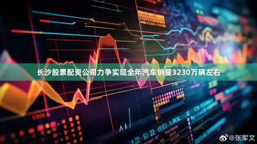 长沙股票配资公司力争实现全年汽车销量3230万辆左右