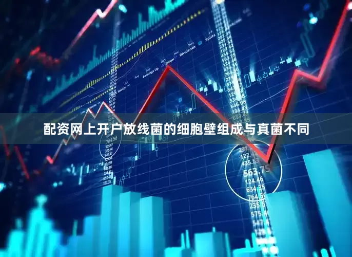 配资网上开户放线菌的细胞壁组成与真菌不同