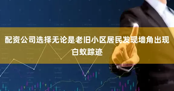配资公司选择无论是老旧小区居民发现墙角出现白蚁踪迹